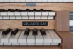 celeste-236-cbm121-detail-1